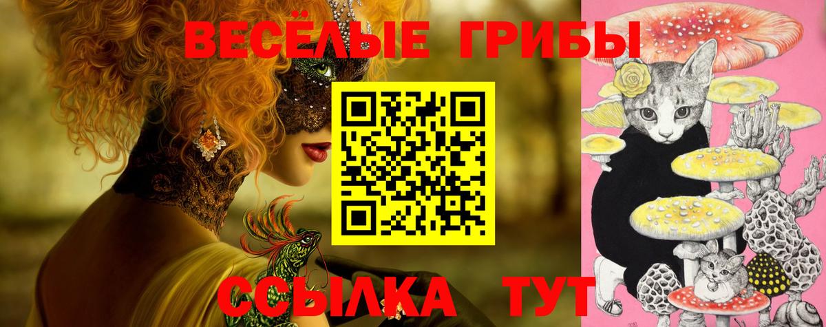 Галлюциногенные грибы Magic Shrooms  Псилоцибиновые грибы ЛСД  Вход с VPN  где купить наркоту  Канаш 
